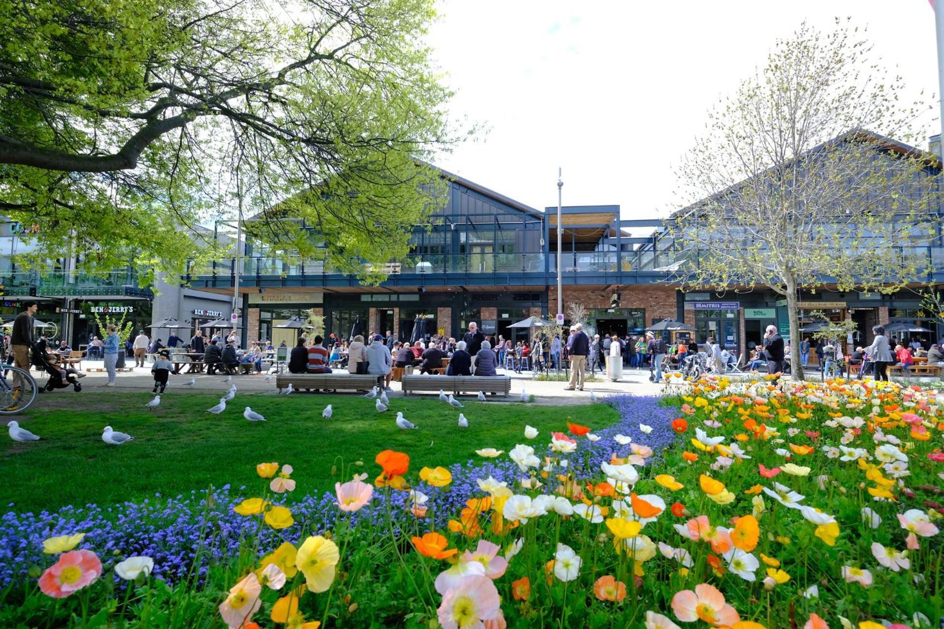 Cityscape Studio: Explore Wilmer Living Christchurch Luaran gambar